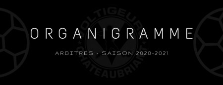 Rejoignez l'équipe d'arbitres des Voltigeurs pour la saison 2020-2021 !